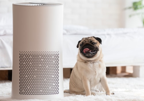 Air Purifiers vs FPR and MERV Rated Filters: What's the Difference?